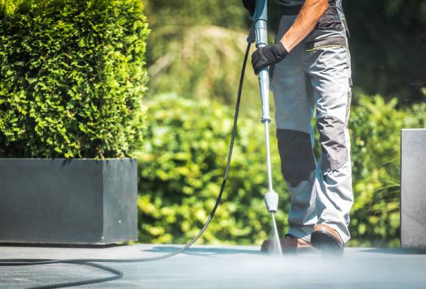 Best Roof Washing  in Palmyra, NJ